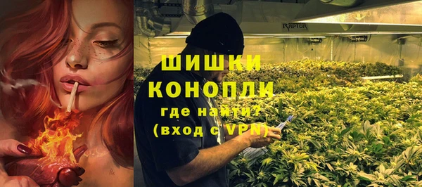 mdpv Гусев