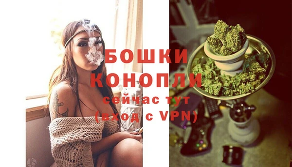 mdpv Гусев